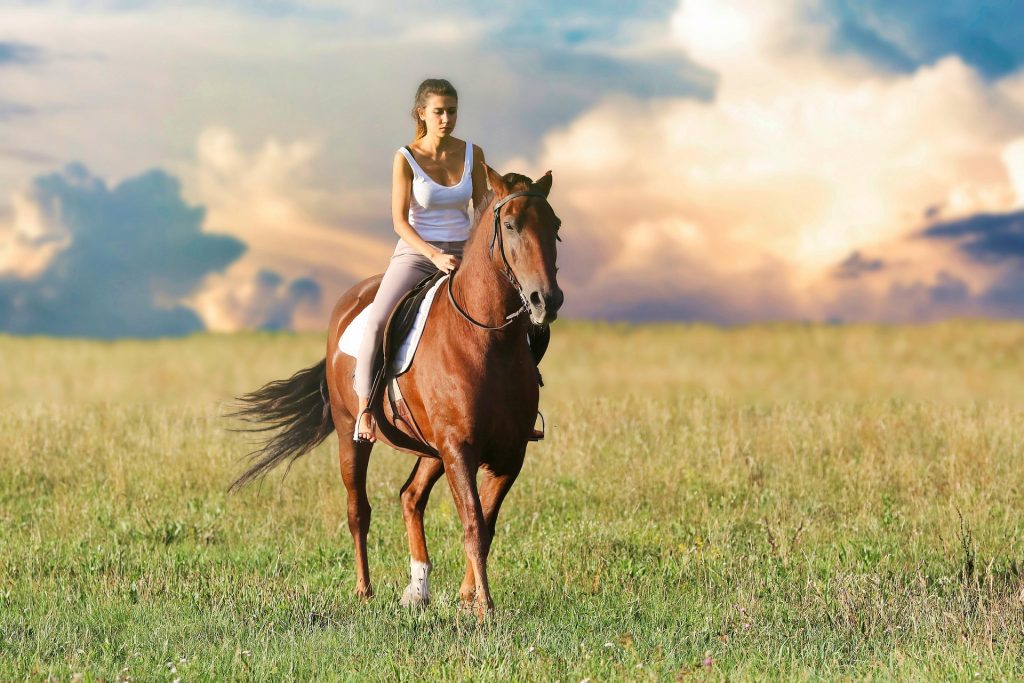 Guided horseback ride